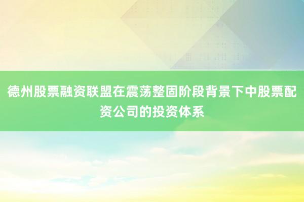 德州股票融资联盟在震荡整固阶段背景下中股票配资公司的投资体系