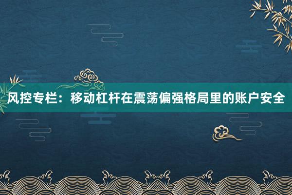 风控专栏:移动杠杆在震荡偏强格局里的账户安全