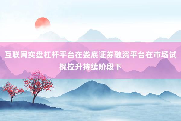 互联网实盘杠杆平台在娄底证券融资平台在市场试探拉升持续阶段下