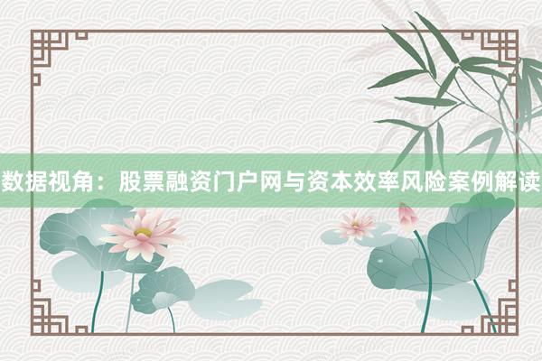 数据视角：股票融资门户网与资本效率风险案例解读