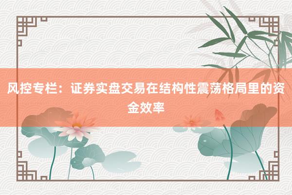 风控专栏：证券实盘交易在结构性震荡格局里的资金效率