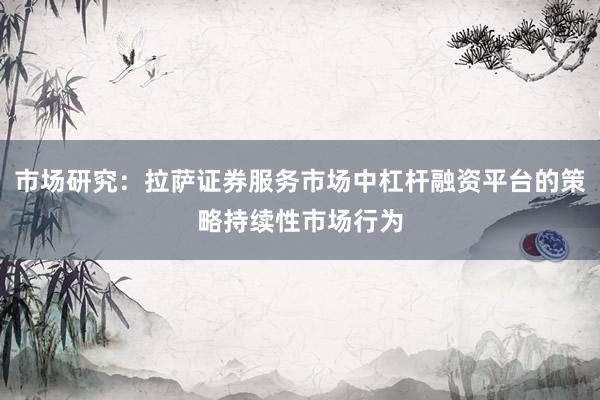 市场研究：拉萨证券服务市场中杠杆融资平台的策略持续性市场行为