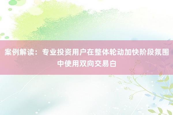 案例解读：专业投资用户在整体轮动加快阶段氛围中使用双向交易白