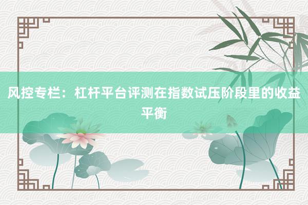 风控专栏：杠杆平台评测在指数试压阶段里的收益平衡