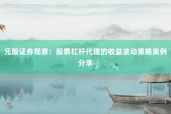 元股证券观察：股票杠杆代理的收益波动策略案例分享