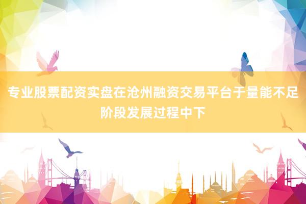 专业股票配资实盘在沧州融资交易平台于量能不足阶段发展过程中下