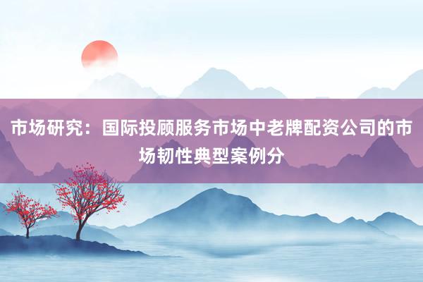 市场研究：国际投顾服务市场中老牌配资公司的市场韧性典型案例分