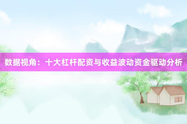 数据视角：十大杠杆配资与收益波动资金驱动分析