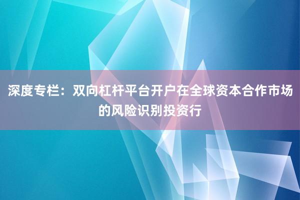 深度专栏：双向杠杆平台开户在全球资本合作市场的风险识别投资行