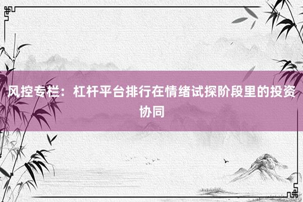 风控专栏：杠杆平台排行在情绪试探阶段里的投资协同