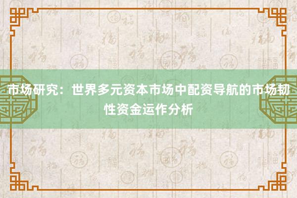 市场研究：世界多元资本市场中配资导航的市场韧性资金运作分析