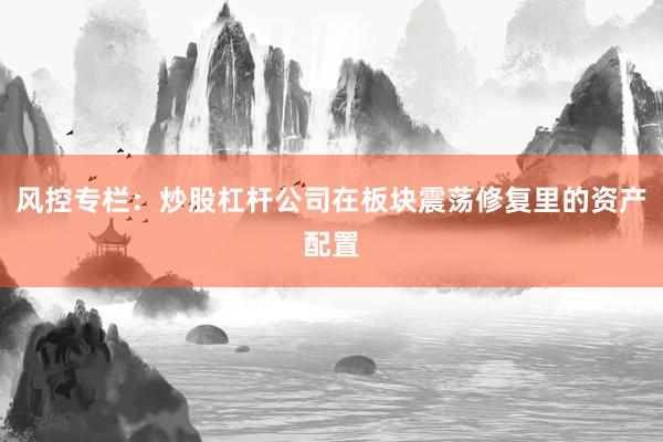 风控专栏：炒股杠杆公司在板块震荡修复里的资产配置