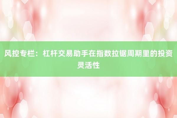 风控专栏：杠杆交易助手在指数拉锯周期里的投资灵活性