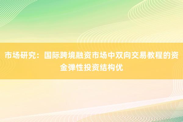 市场研究：国际跨境融资市场中双向交易教程的资金弹性投资结构优