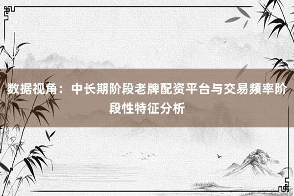 数据视角：中长期阶段老牌配资平台与交易频率阶段性特征分析