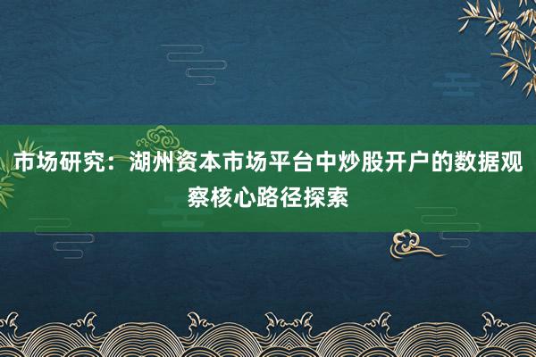 市场研究：湖州资本市场平台中炒股开户的数据观察核心路径探索