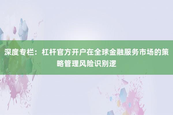 深度专栏：杠杆官方开户在全球金融服务市场的策略管理风险识别逻