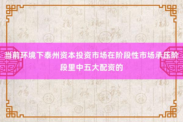 当前环境下泰州资本投资市场在阶段性市场承压阶段里中五大配资的