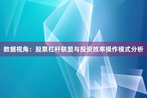 数据视角：股票杠杆联盟与投资效率操作模式分析