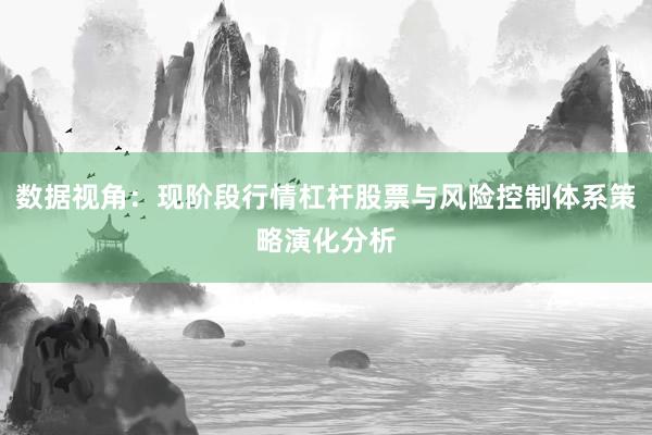 数据视角：现阶段行情杠杆股票与风险控制体系策略演化分析