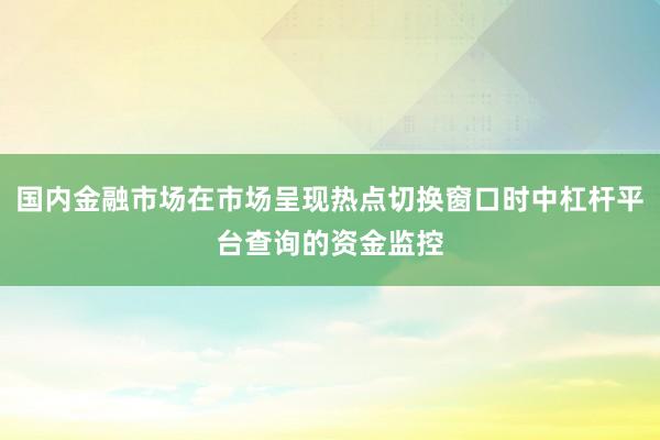 国内金融市场在市场呈现热点切换窗口时中杠杆平台查询的资金监控