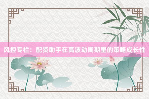 风控专栏：配资助手在高波动周期里的策略成长性