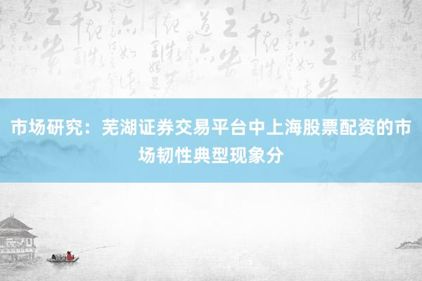 市场研究：芜湖证券交易平台中上海股票配资的市场韧性典型现象分