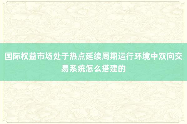 国际权益市场处于热点延续周期运行环境中双向交易系统怎么搭建的