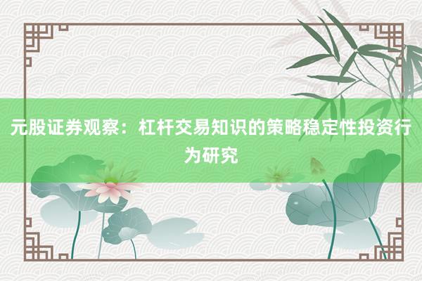 元股证券观察:杠杆交易知识的策略稳定性投资行为研究