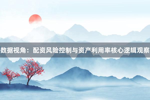 数据视角：配资风险控制与资产利用率核心逻辑观察