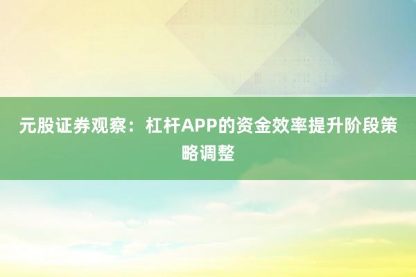 元股证券观察：杠杆APP的资金效率提升阶段策略调整