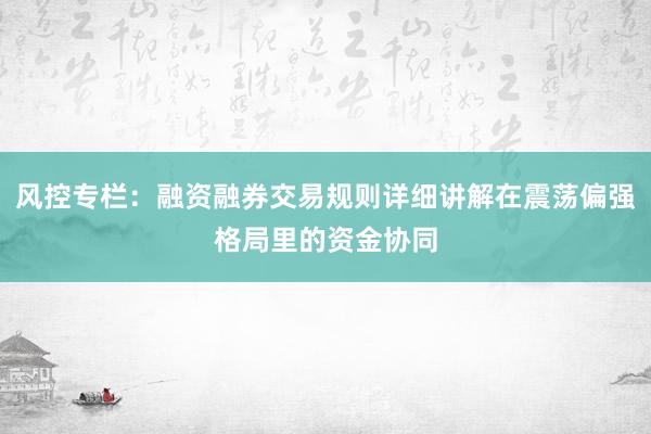 风控专栏：融资融券交易规则详细讲解在震荡偏强格局里的资金协同