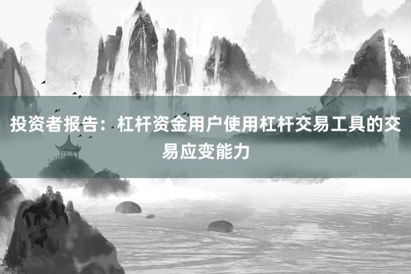 投资者报告：杠杆资金用户使用杠杆交易工具的交易应变能力