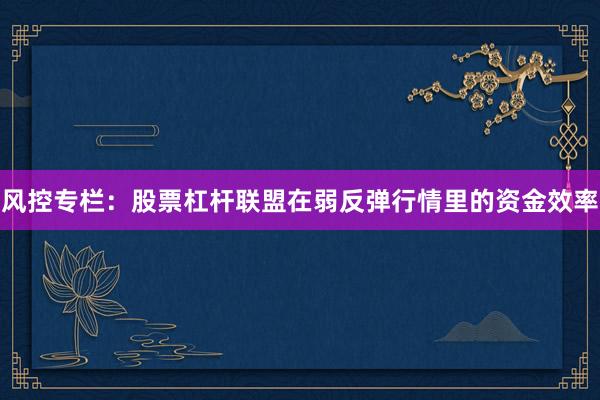 风控专栏：股票杠杆联盟在弱反弹行情里的资金效率