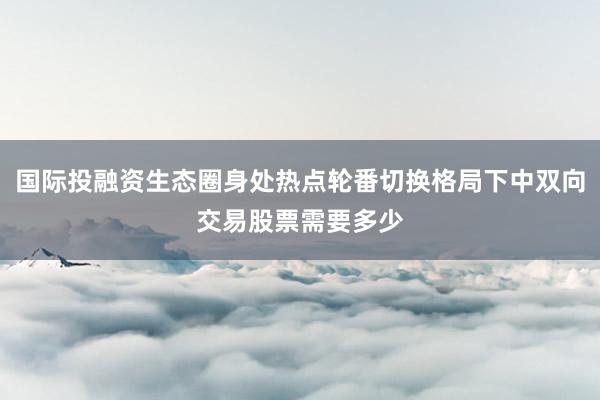 国际投融资生态圈身处热点轮番切换格局下中双向交易股票需要多少