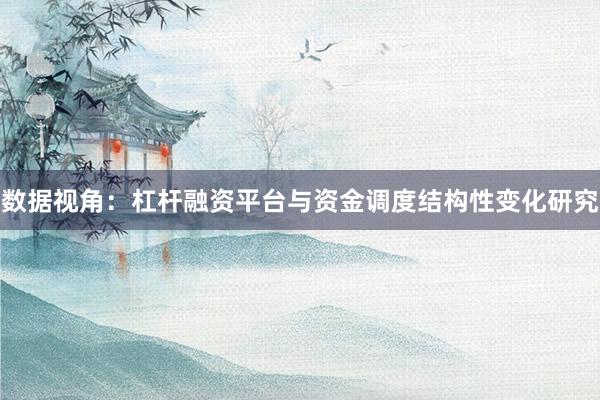 数据视角：杠杆融资平台与资金调度结构性变化研究
