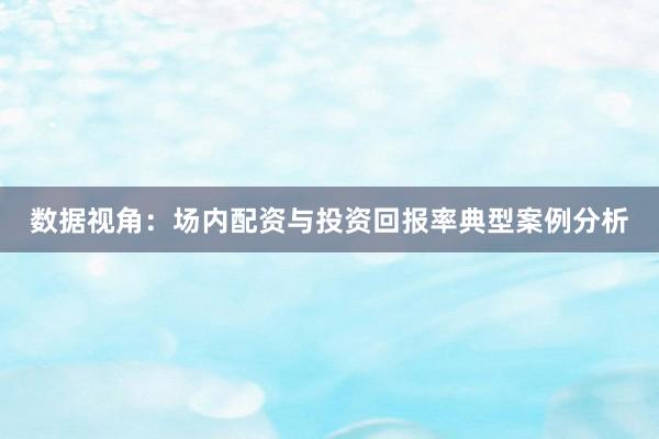 数据视角：场内配资与投资回报率典型案例分析
