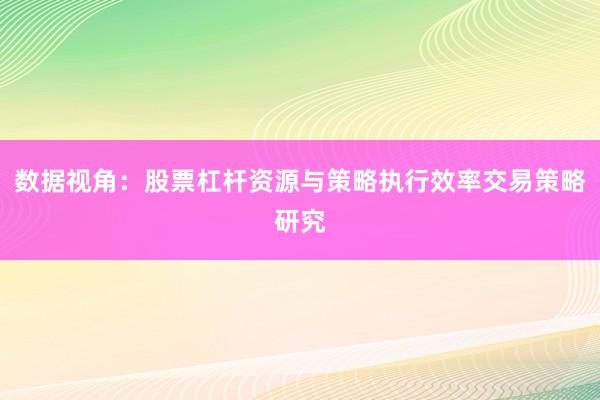 数据视角：股票杠杆资源与策略执行效率交易策略研究