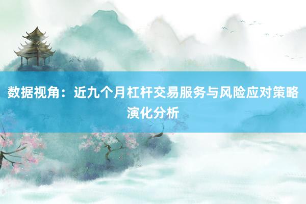 数据视角：近九个月杠杆交易服务与风险应对策略演化分析