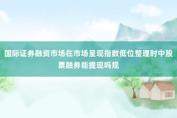 国际证券融资市场在市场呈现指数低位整理时中股票融券能提现吗规