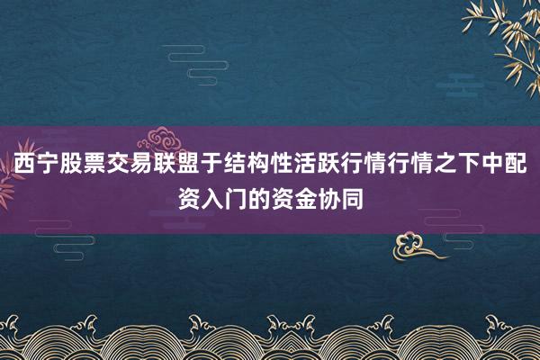 西宁股票交易联盟于结构性活跃行情行情之下中配资入门的资金协同