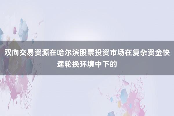 双向交易资源在哈尔滨股票投资市场在复杂资金快速轮换环境中下的