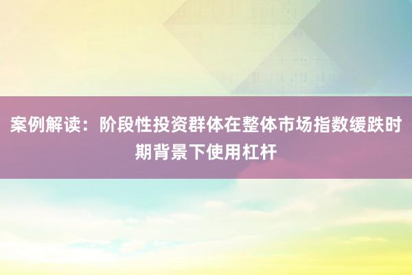 案例解读：阶段性投资群体在整体市场指数缓跌时期背景下使用杠杆