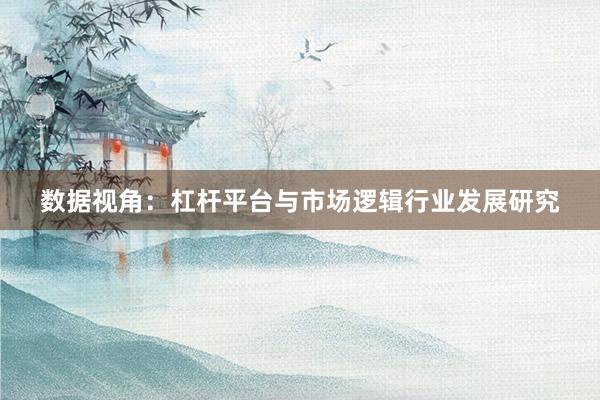 数据视角：杠杆平台与市场逻辑行业发展研究