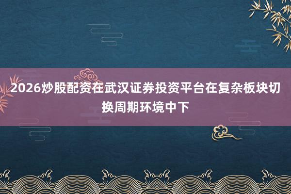 2026炒股配资在武汉证券投资平台在复杂板块切换周期环境中下