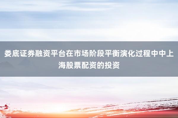 娄底证券融资平台在市场阶段平衡演化过程中中上海股票配资的投资