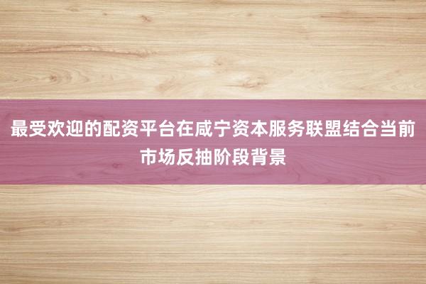 最受欢迎的配资平台在咸宁资本服务联盟结合当前市场反抽阶段背景