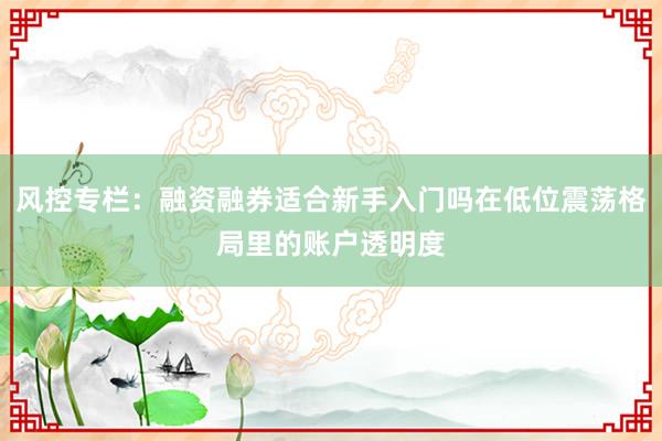风控专栏：融资融券适合新手入门吗在低位震荡格局里的账户透明度