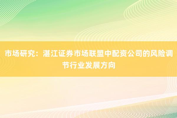 市场研究：湛江证券市场联盟中配资公司的风险调节行业发展方向