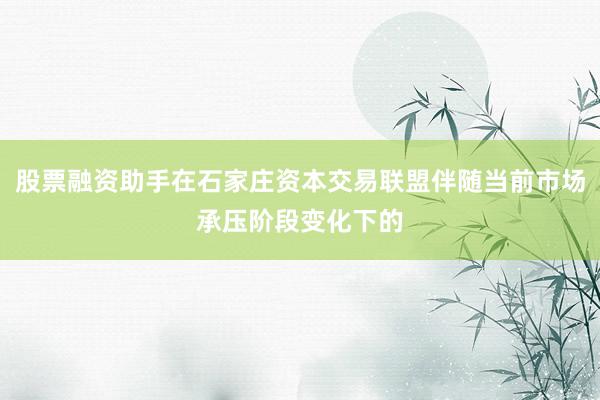 股票融资助手在石家庄资本交易联盟伴随当前市场承压阶段变化下的